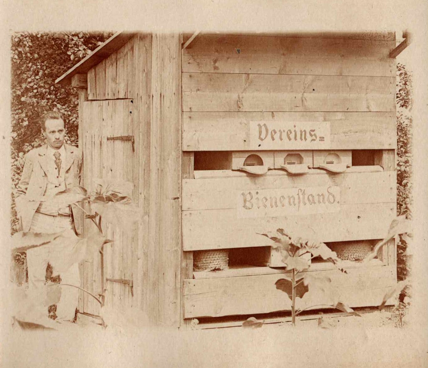 bienenzuchtverein-wildon-timeline1905 Vereinsbienenstand