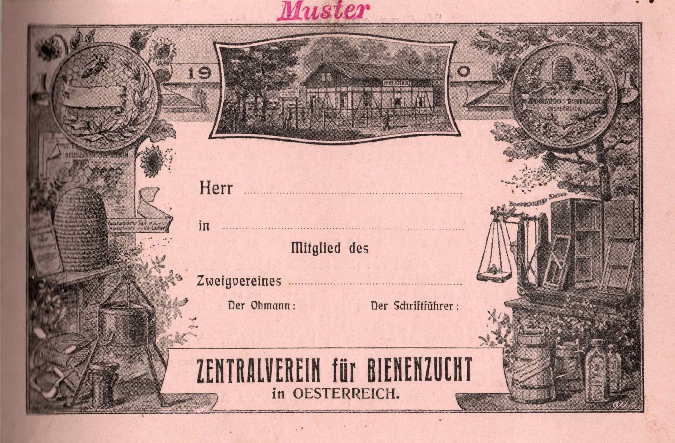 bienenzuchtverein-wildon-timeline1905Mitgliedskarte