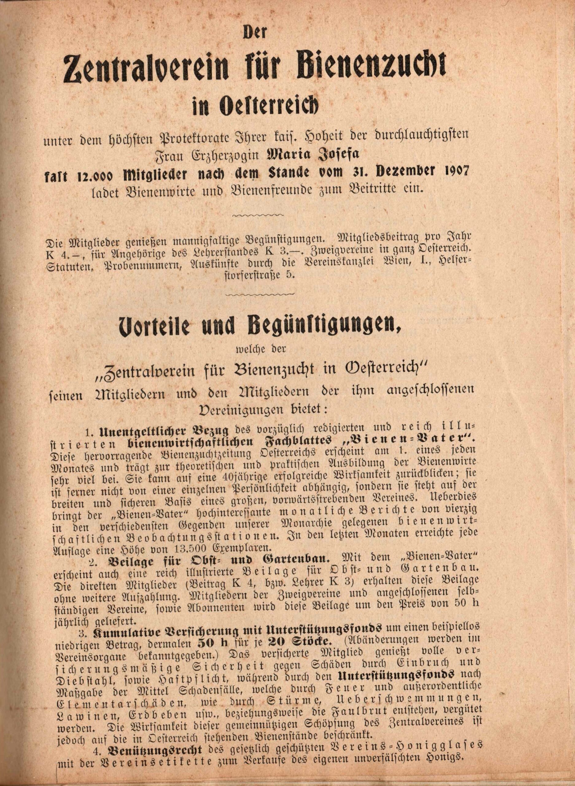 bienenzuchtverein-wildon-timeline1907 Statuten Steiermark