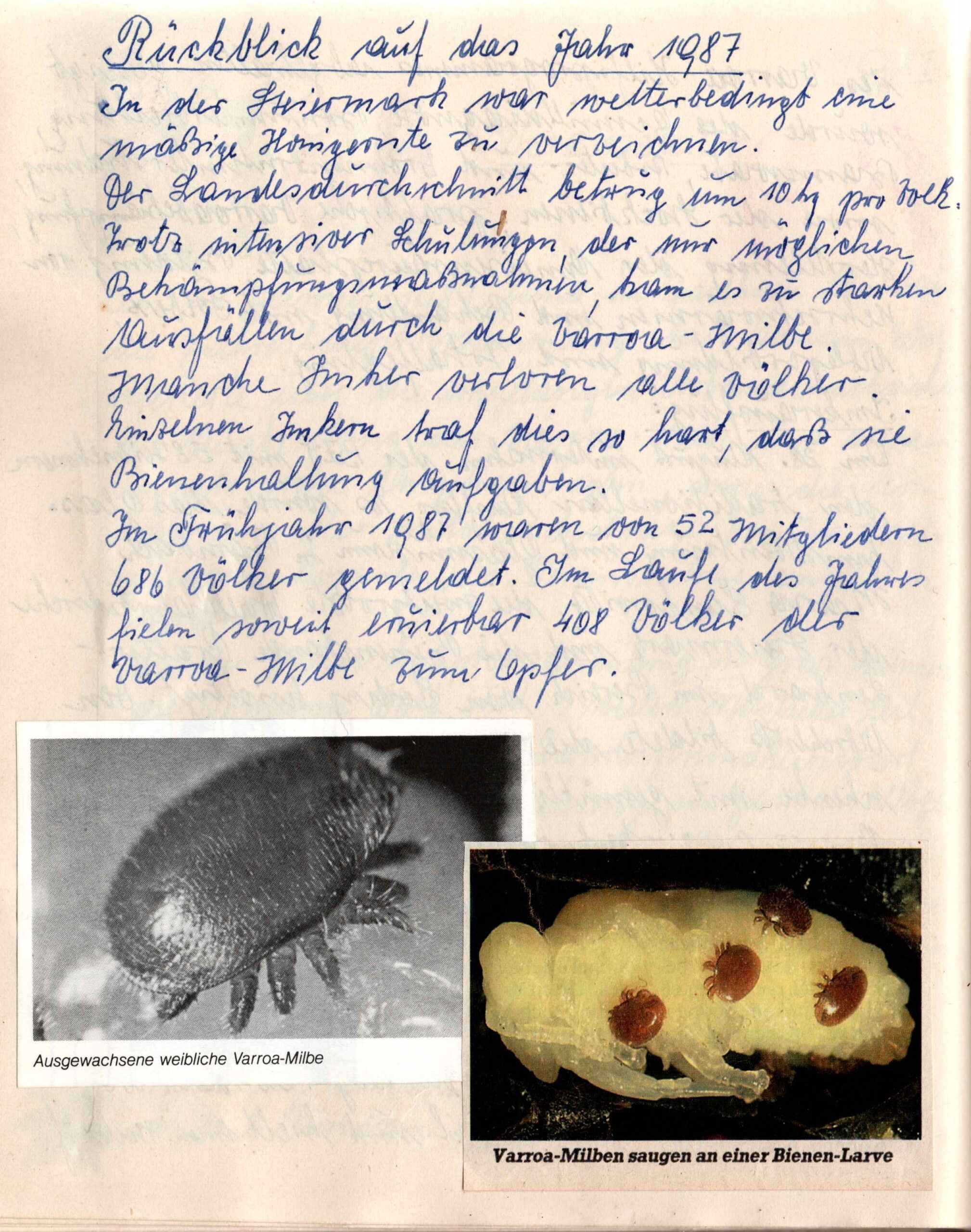 bienenzuchtverein-wildon-timeline1986 Erstes Auftreten Varroamilbe